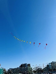 しょうこ先生のつぶやき 14