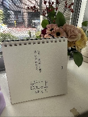 しょうこ先生のつぶやき 10